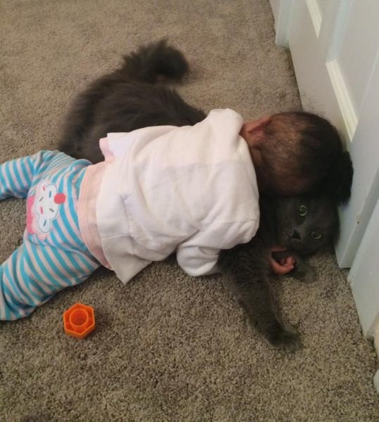 Bildschirmarbeiter - Picdump 24.10.2014