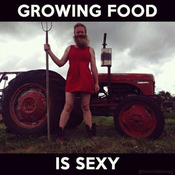 Bildschirmarbeiter - Picdump 24.10.2014