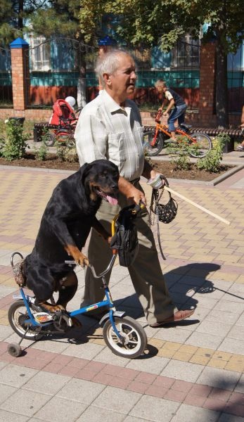 Bildschirmarbeiter - Picdump 24.10.2014