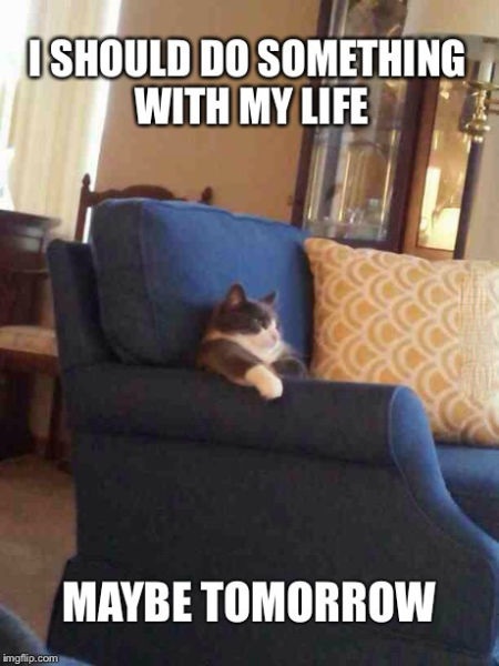 Bildschirmarbeiter - Picdump 24.10.2014