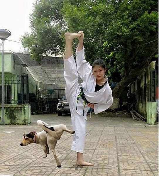 Bildschirmarbeiter - Picdump 24.10.2014