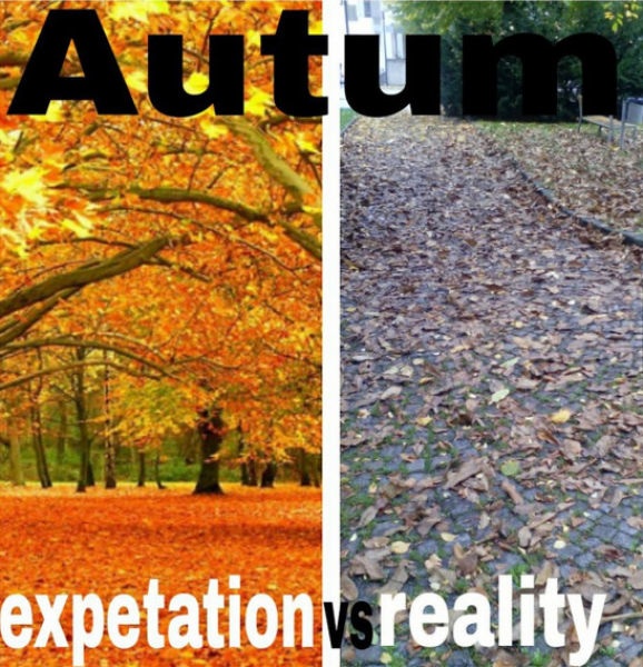 Bildschirmarbeiter - Picdump 24.10.2014