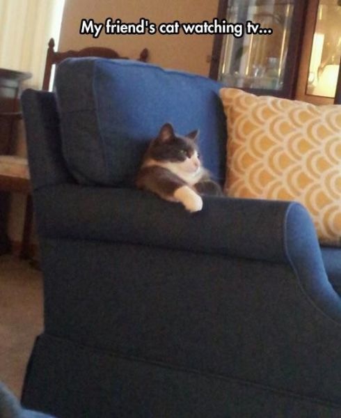 Bildschirmarbeiter - Picdump 31.10.2014