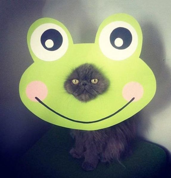 Bildschirmarbeiter - Picdump 31.10.2014