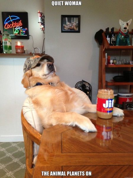 Bildschirmarbeiter - Picdump 31.10.2014