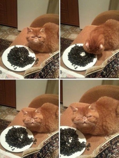 Bildschirmarbeiter - Picdump 31.10.2014