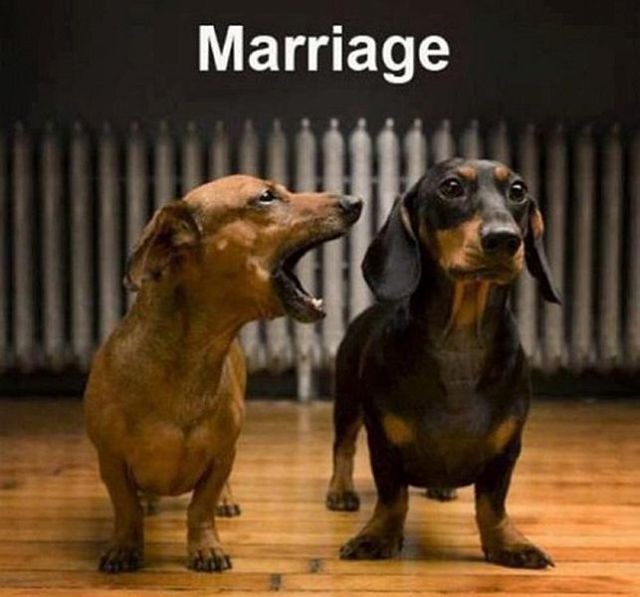 Bildschirmarbeiter - Picdump 31.10.2014