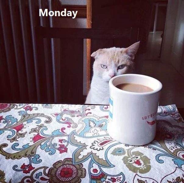 Bildschirmarbeiter - Picdump 31.10.2014