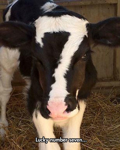 Bildschirmarbeiter - Picdump 31.10.2014