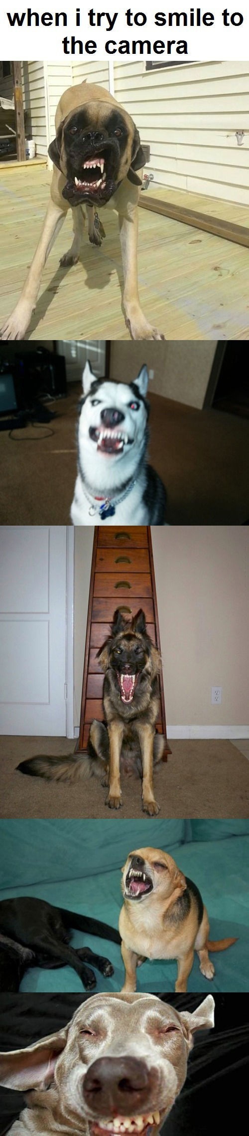 Bildschirmarbeiter - Picdump 31.10.2014