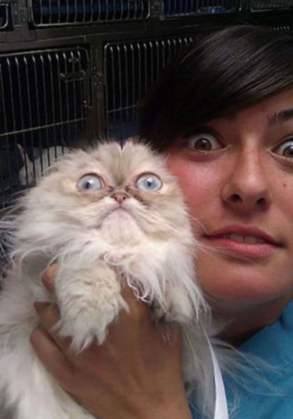 Bildschirmarbeiter - Picdump 07.11.2014