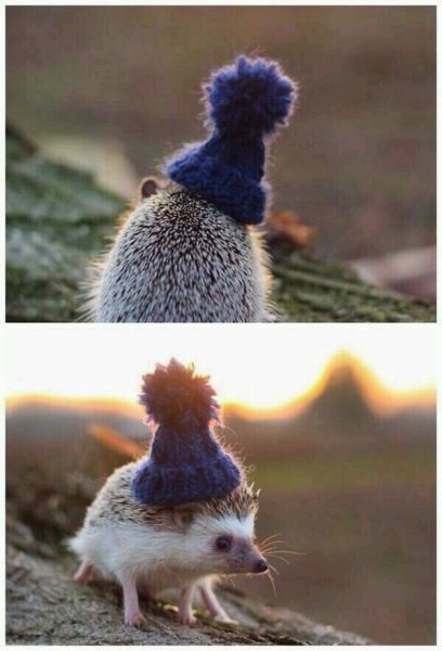 Bildschirmarbeiter - Picdump 07.11.2014