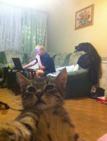 Bildschirmarbeiter - Picdump 07.11.2014