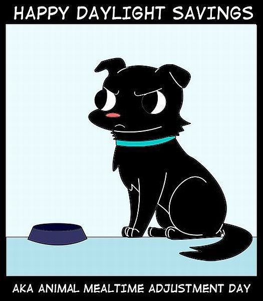 Bildschirmarbeiter - Picdump 07.11.2014