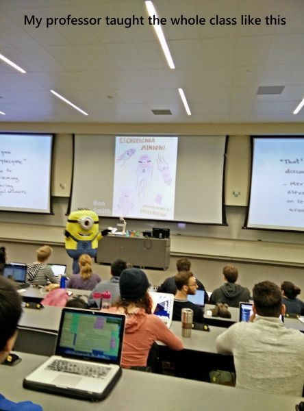 Bildschirmarbeiter - Picdump 07.11.2014