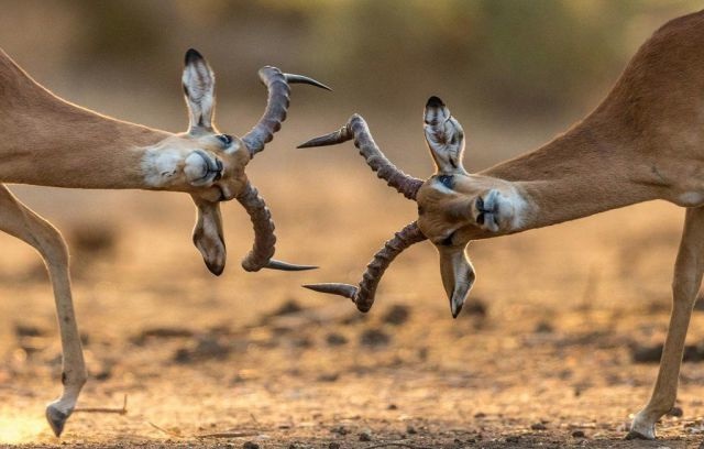 Bildschirmarbeiter - Picdump 07.11.2014