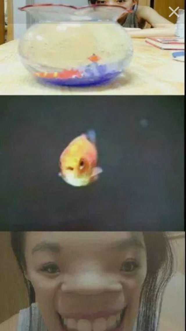 Bildschirmarbeiter - Picdump 07.11.2014