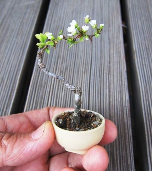 Bildschirmarbeiter - Picdump 07.11.2014