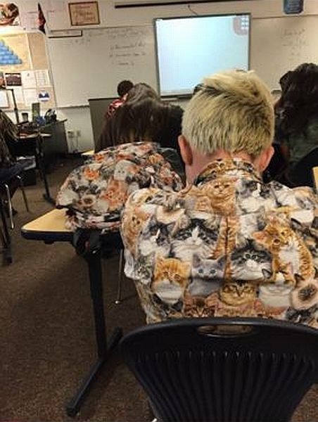 Bildschirmarbeiter - Picdump 07.11.2014