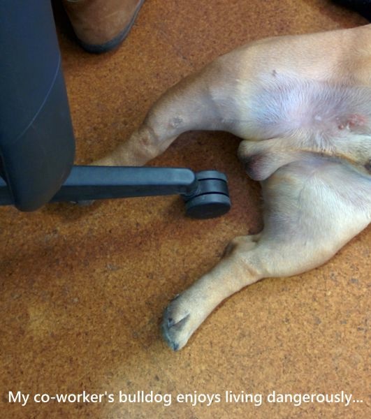 Bildschirmarbeiter - Picdump 07.11.2014