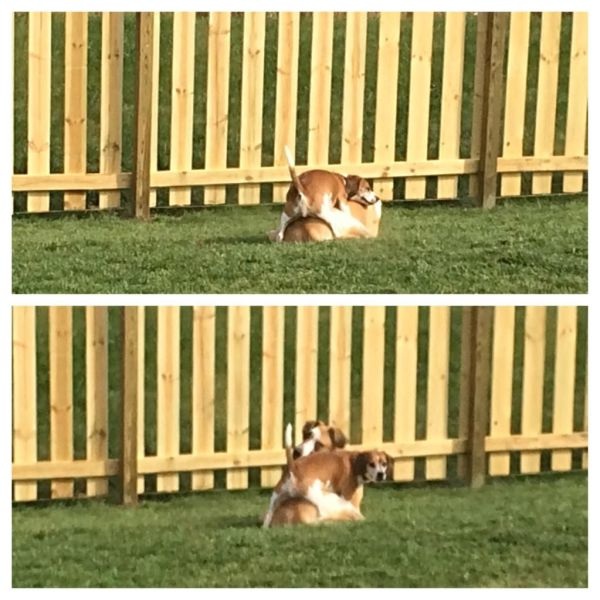 Bildschirmarbeiter - Picdump 07.11.2014