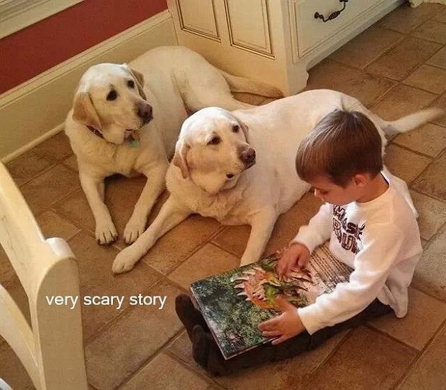 Bildschirmarbeiter - Picdump 07.11.2014