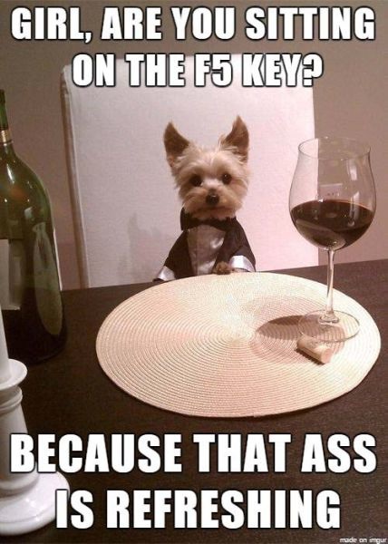 Bildschirmarbeiter - Picdump 07.11.2014