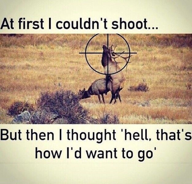 Bildschirmarbeiter - Picdump 07.11.2014