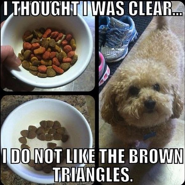 Bildschirmarbeiter - Picdump 07.11.2014