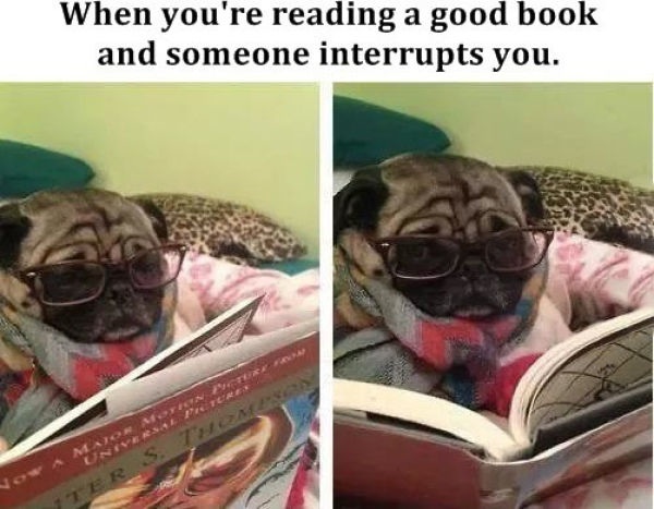 Bildschirmarbeiter - Picdump 07.11.2014