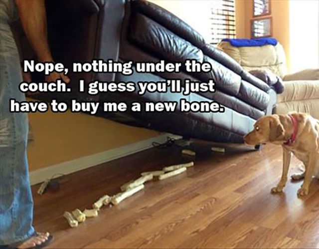 Bildschirmarbeiter - Picdump 07.11.2014