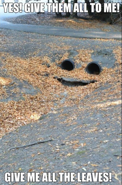 Bildschirmarbeiter - Picdump 07.11.2014