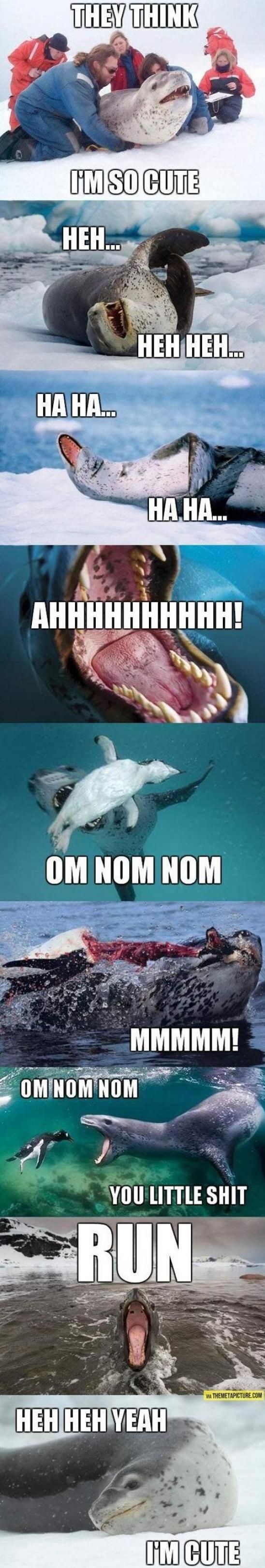 Bildschirmarbeiter - Picdump 07.11.2014