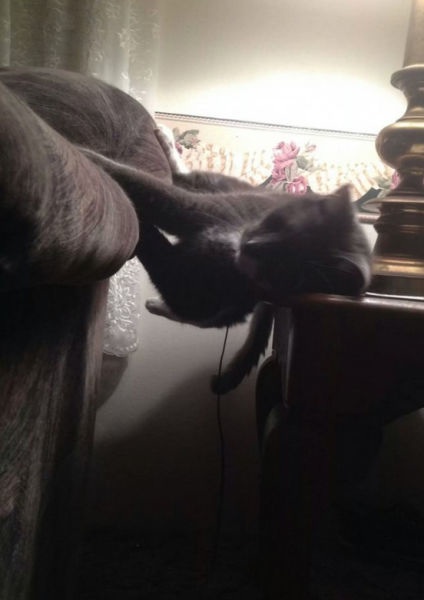 Bildschirmarbeiter - Picdump 14.11.2014