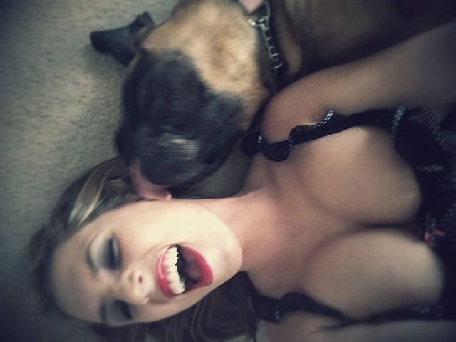 Bildschirmarbeiter - Picdump 14.11.2014