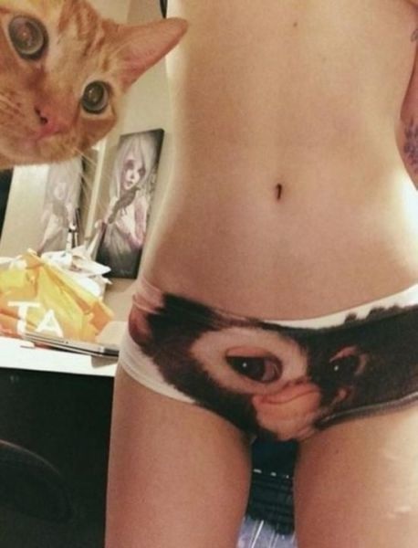 Bildschirmarbeiter - Picdump 14.11.2014