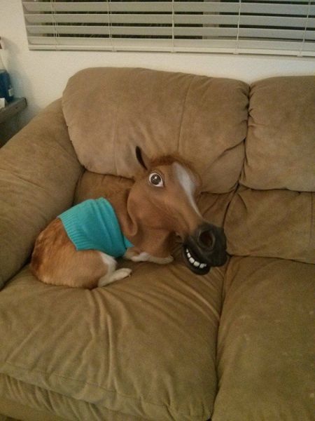 Bildschirmarbeiter - Picdump 14.11.2014