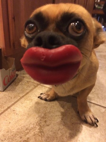 Bildschirmarbeiter - Picdump 14.11.2014