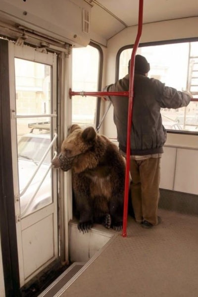 Bildschirmarbeiter - Picdump 14.11.2014