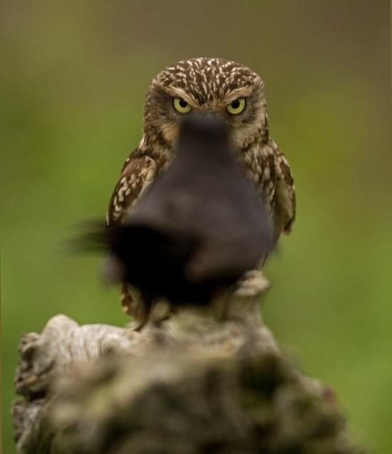 Bildschirmarbeiter - Picdump 14.11.2014