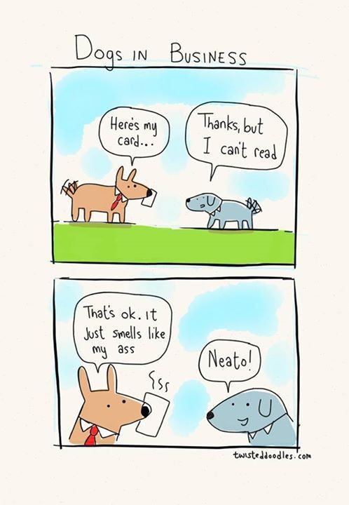 Bildschirmarbeiter - Picdump 14.11.2014