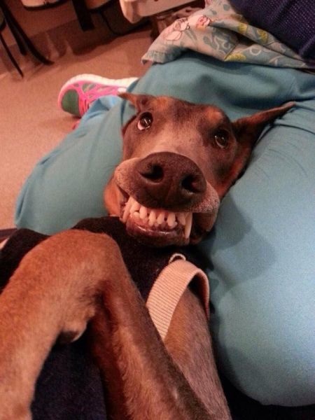 Bildschirmarbeiter - Picdump 14.11.2014