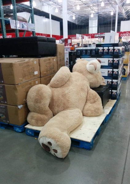 Bildschirmarbeiter - Picdump 14.11.2014