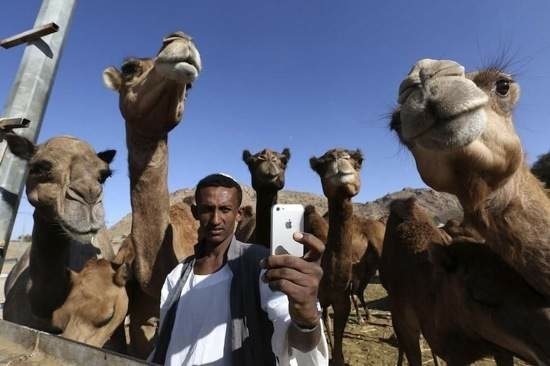 Bildschirmarbeiter - Picdump 14.11.2014