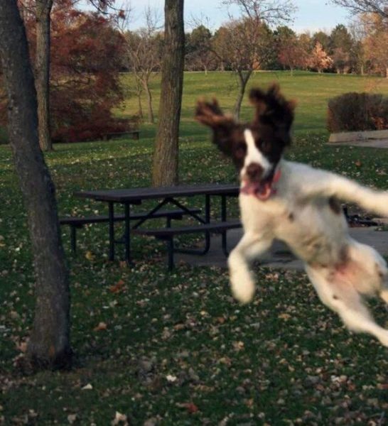 Bildschirmarbeiter - Picdump 14.11.2014