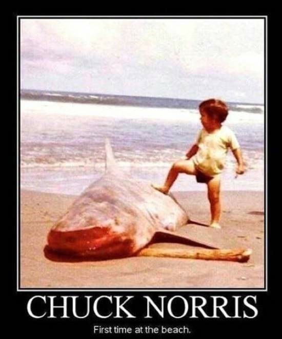 Bildschirmarbeiter - Picdump 14.11.2014