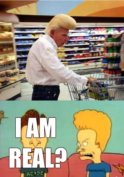 Bildschirmarbeiter - Picdump 14.11.2014