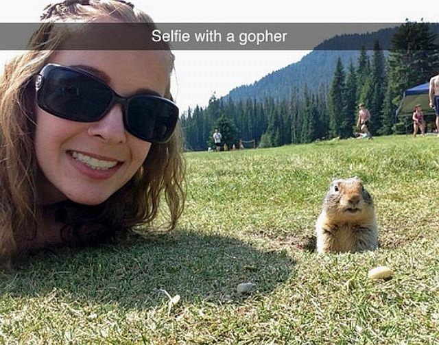 Bildschirmarbeiter - Picdump 14.11.2014