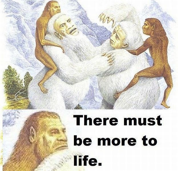 Bildschirmarbeiter - Picdump 14.11.2014