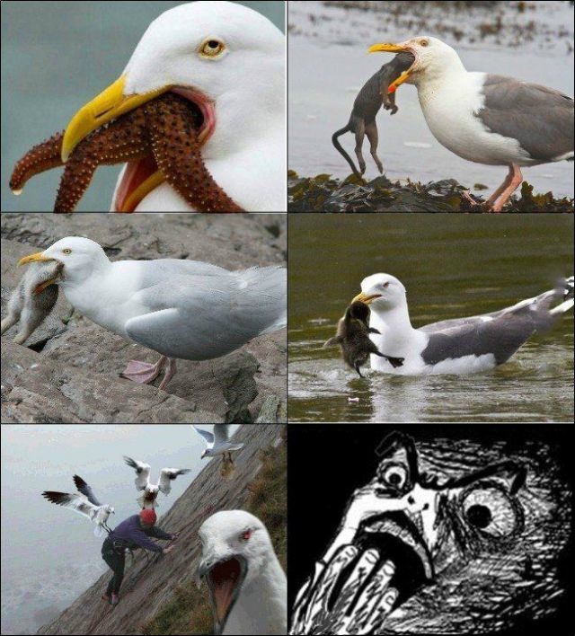 Bildschirmarbeiter - Picdump 14.11.2014